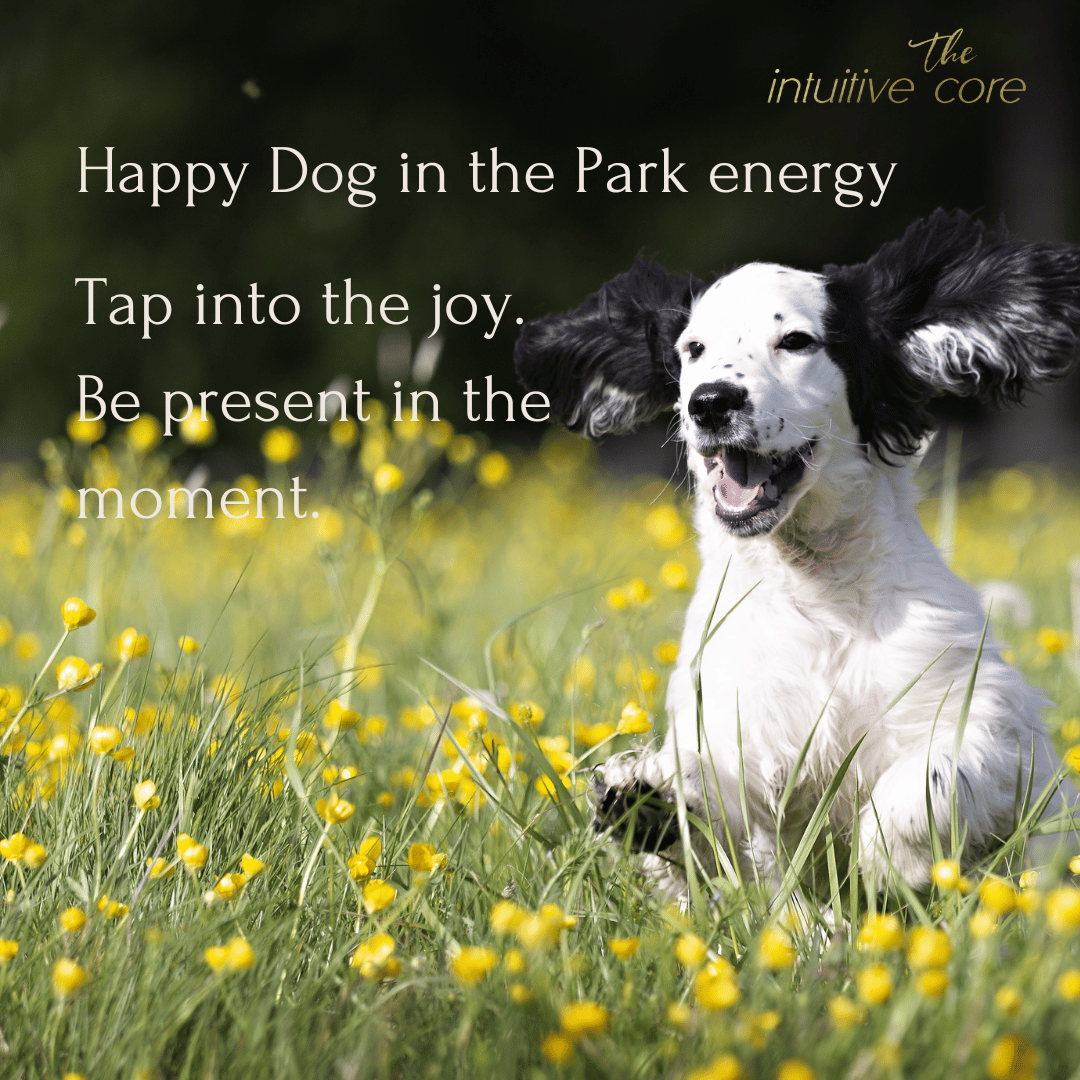 Happy Dog in the Park Energy